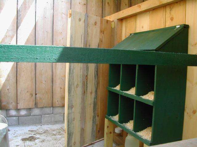 86163_inside_coop_nesting_boxes.jpg