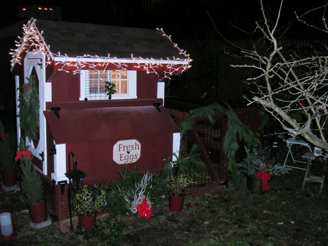 86430_coop-noel.jpg