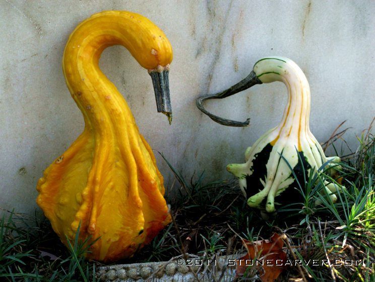 86534_bird-gourds.jpg