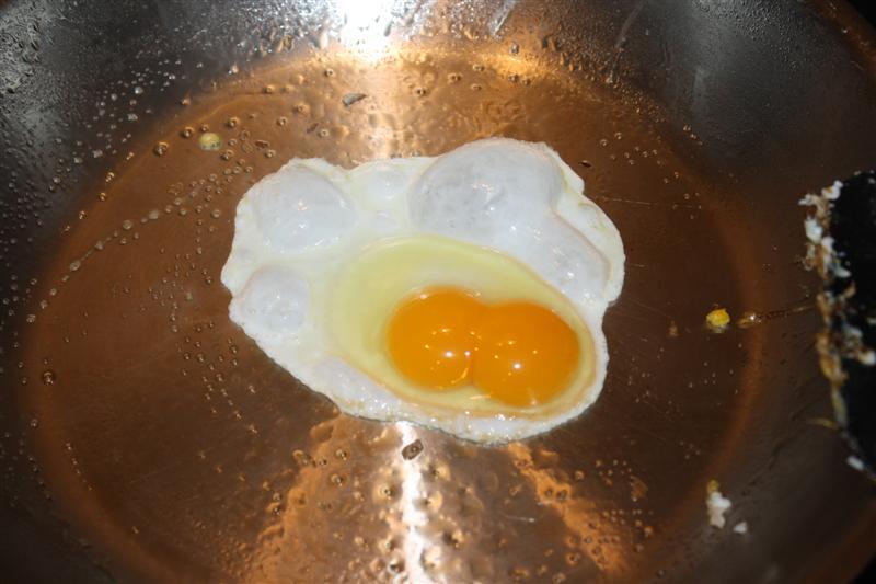86540_chickens_002_medium.jpg