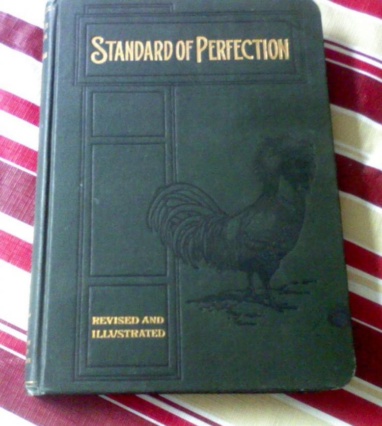 86660_standars-chickens.jpg