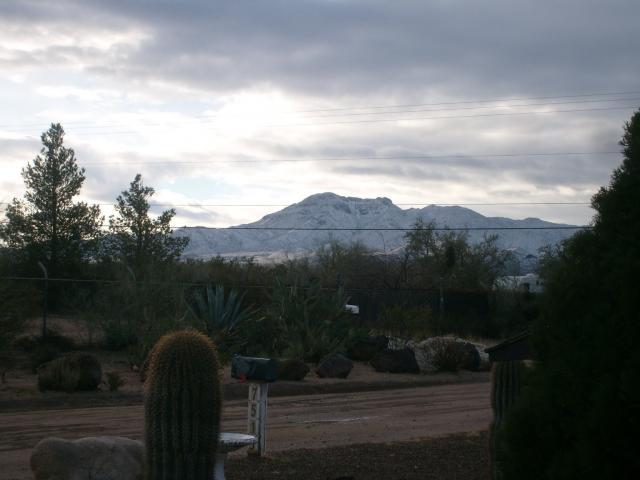 86660_tucson-snow-1-march-2010.jpg