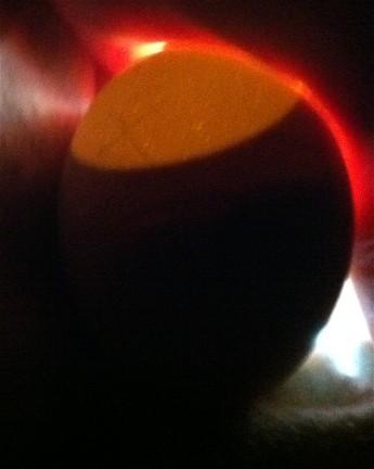86664_eggs_again_032.jpg