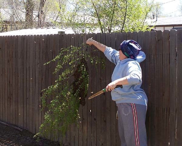 86670_100_0720-1.jpg