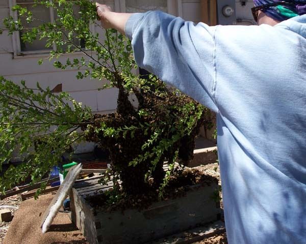 86670_100_0725-1.jpg