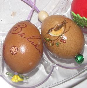 86697_egg_believe_bird.jpg