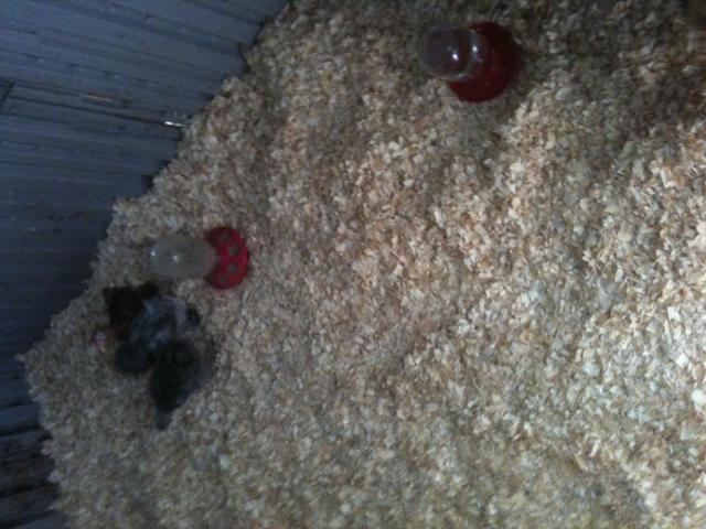 86897_image11.jpeg