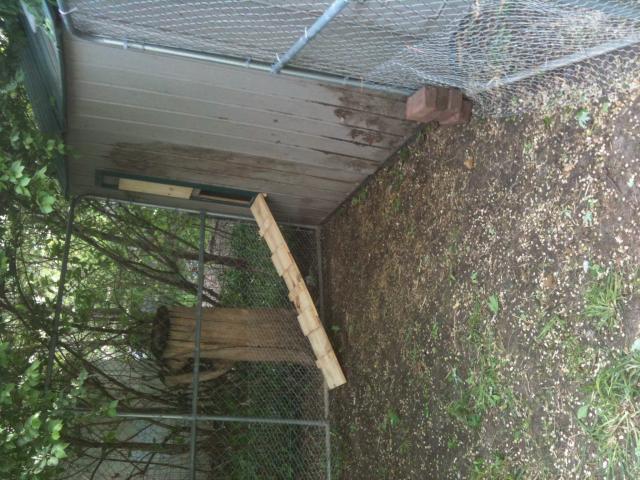 86897_image8.jpeg