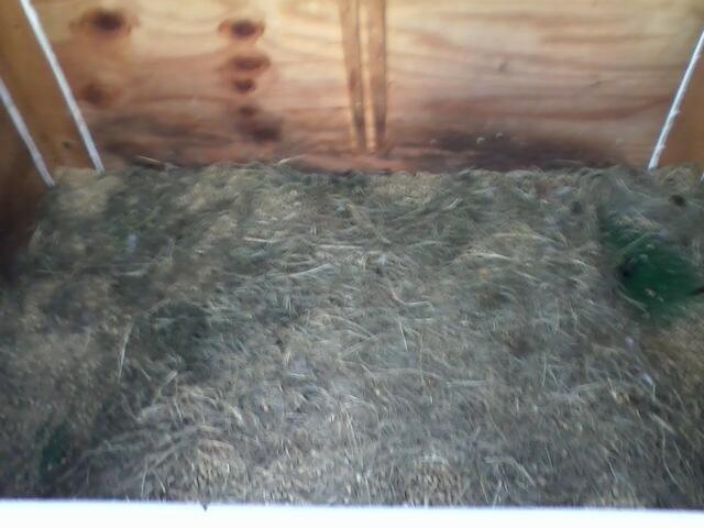 86908_imagejpeg_2_11.jpg