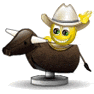 8693_mechanicalbullsmiley.gif