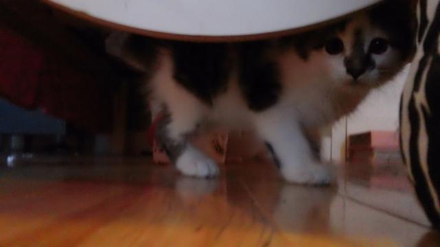 87360_picture_091.jpg