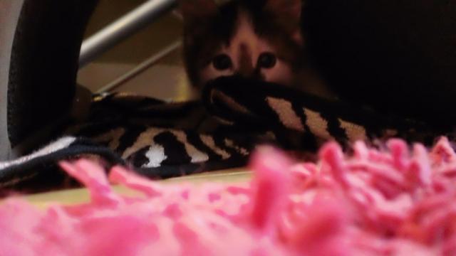 87360_picture_102.jpg