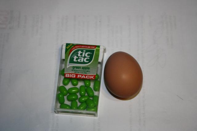 87508_many_things_first_egg_pics_065.jpg