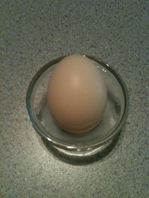 87563_egg.jpg