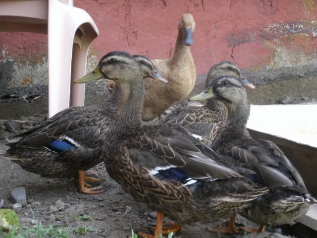 87941_103.jpg
