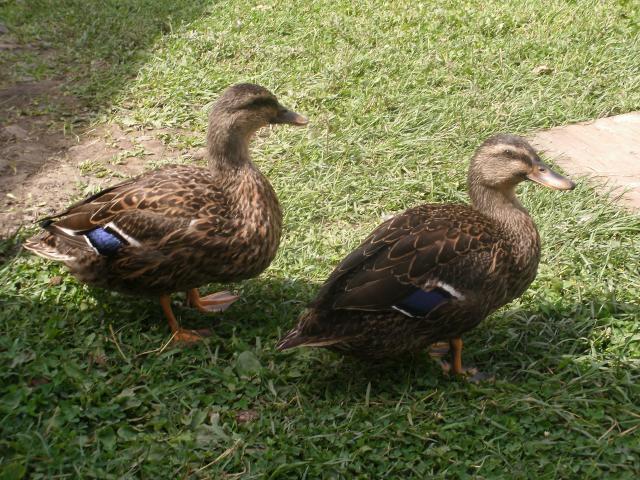 87941_104.jpg