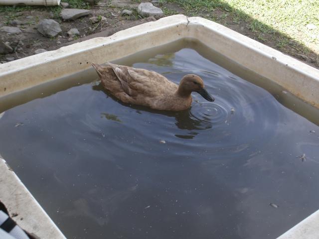 87941_112.jpg
