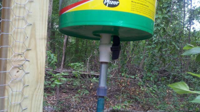 88272_chicken_waterer2.jpg