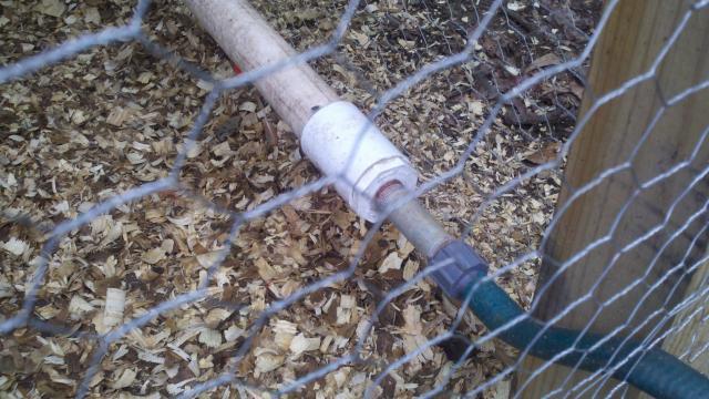 88272_chicken_waterer_1.jpg