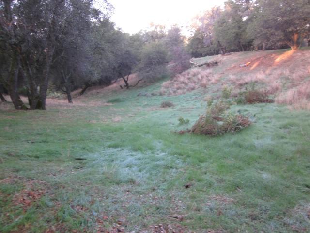 88607_img_1474.jpg