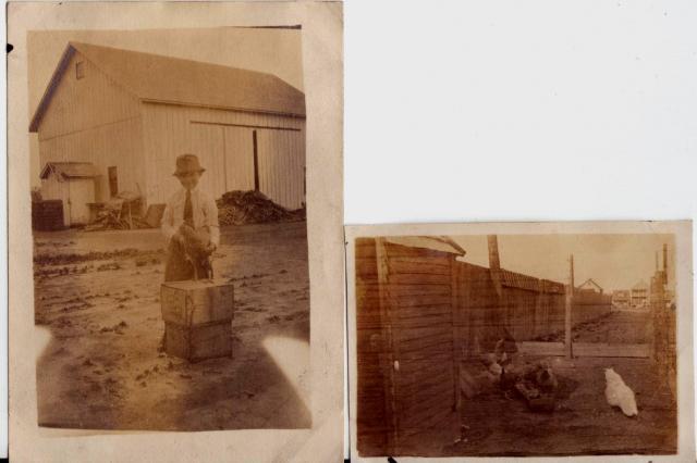 88880_goetz_family_pictures_chickens_circa_1919.jpeg
