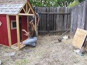 88993_coop_painting.jpg