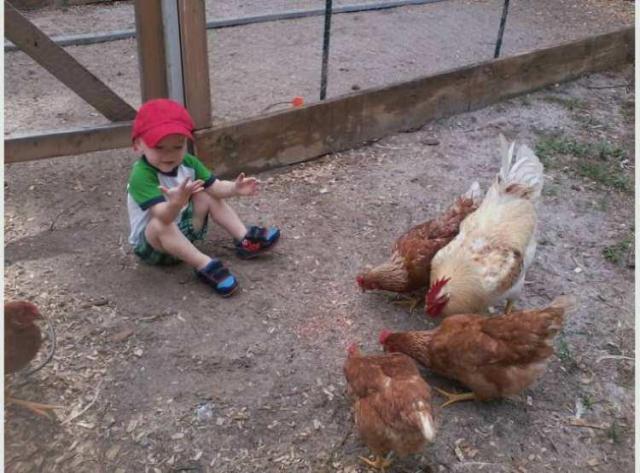 89023_hunter_with_chickens.jpg