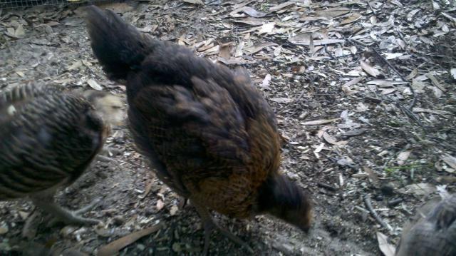 89048_2011-04-27_15-13-28_591.jpg