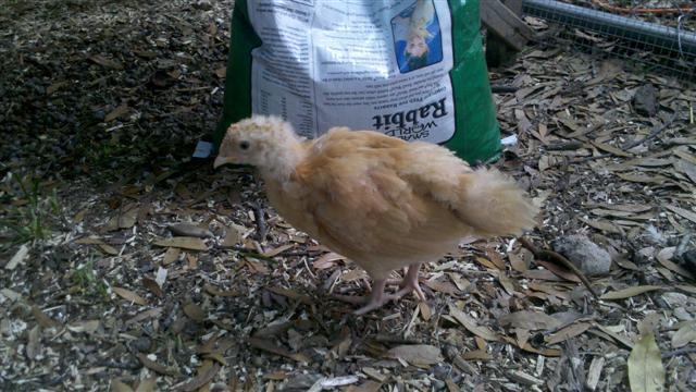89048_2011-04-27_15-15-33_550.jpg