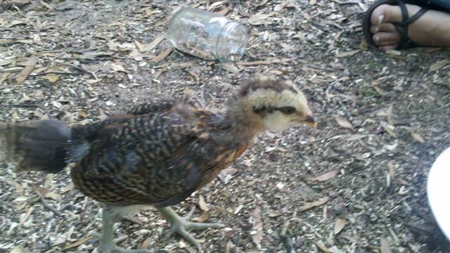 89048_2011-04-27_15-16-57_850.jpg