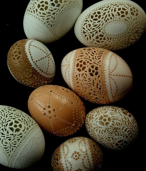 89080_eggs.jpg