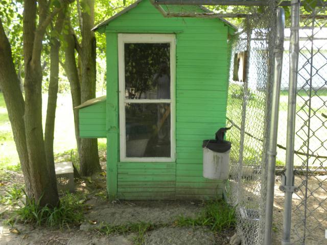 89124_dscn1546.jpg