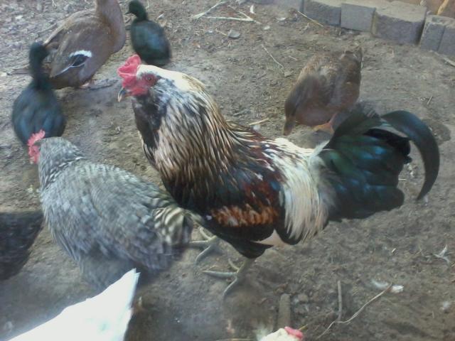 89194_mms_picture.jpg