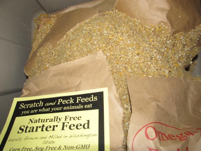 89230_scratch_n_peck_013.jpg