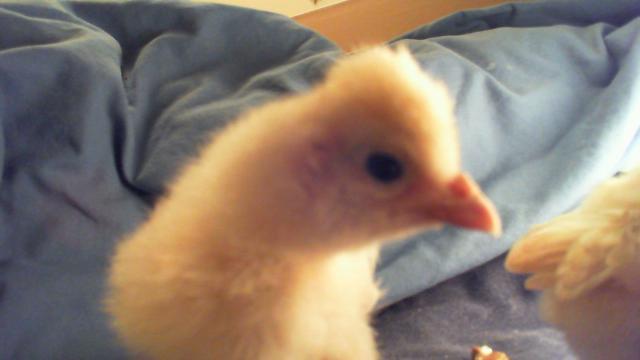89326_2011-11-05_07-01-32908.jpg
