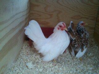 89615_july20_1290.jpg