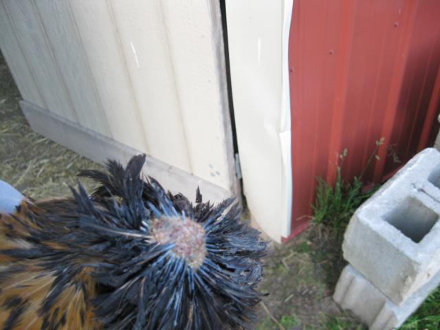 89745_img_1879.jpg