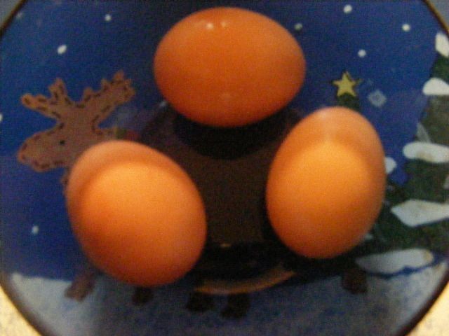 90013_christmas_2011_070.jpg