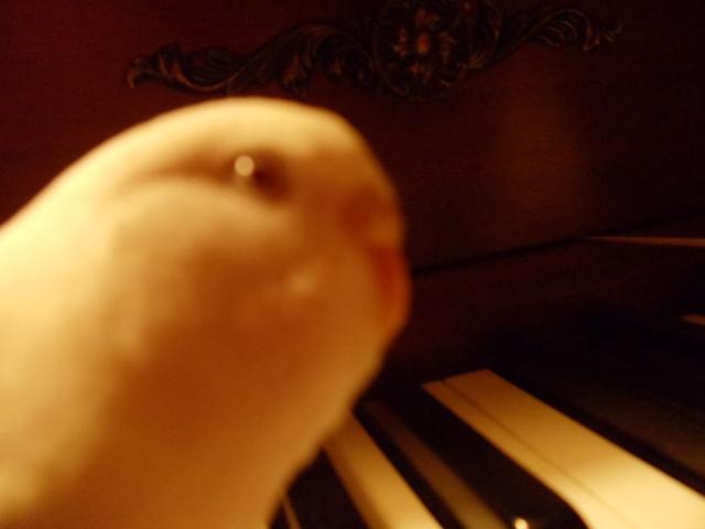 90098_212.jpg