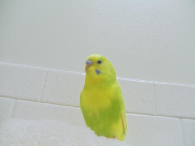 90098_215.jpg