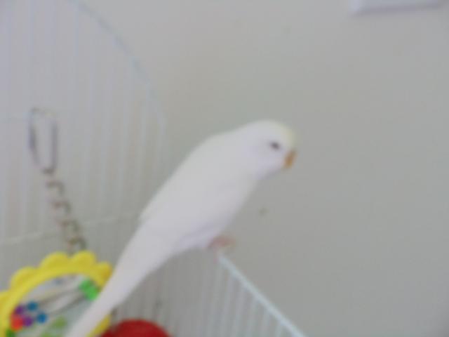 90098_223.jpg