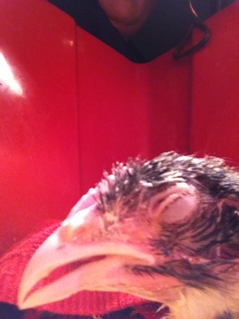 90142_photo.jpg