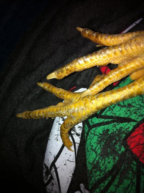 90333_img_0306.jpg