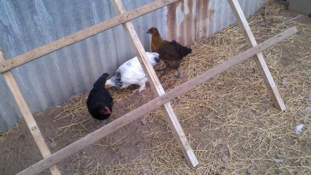 90400_2011-05-09_18-55-28_928.jpg