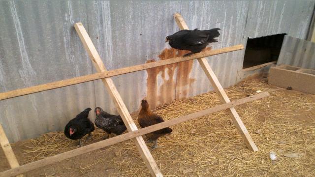 90400_2011-05-09_18-57-03_206.jpg