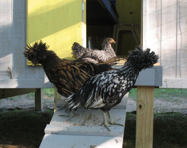 90403_bookends.jpg
