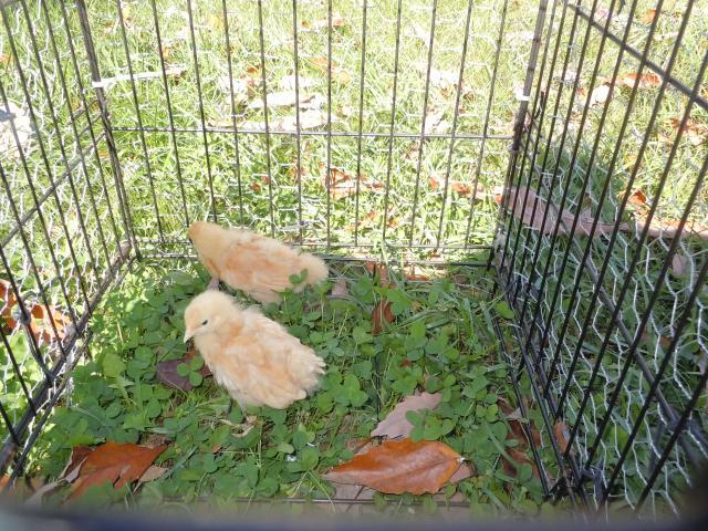 90422_dscn2731.jpg