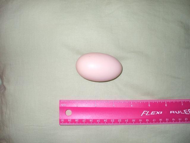 90453_dscf0989.jpg
