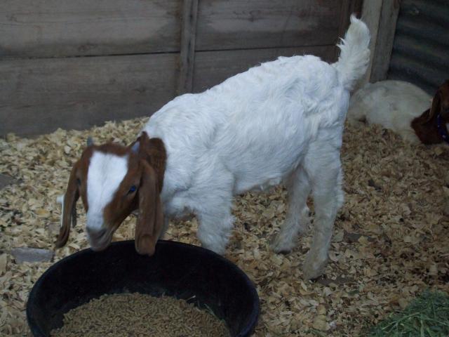 90494_june_8_2011_007.jpg