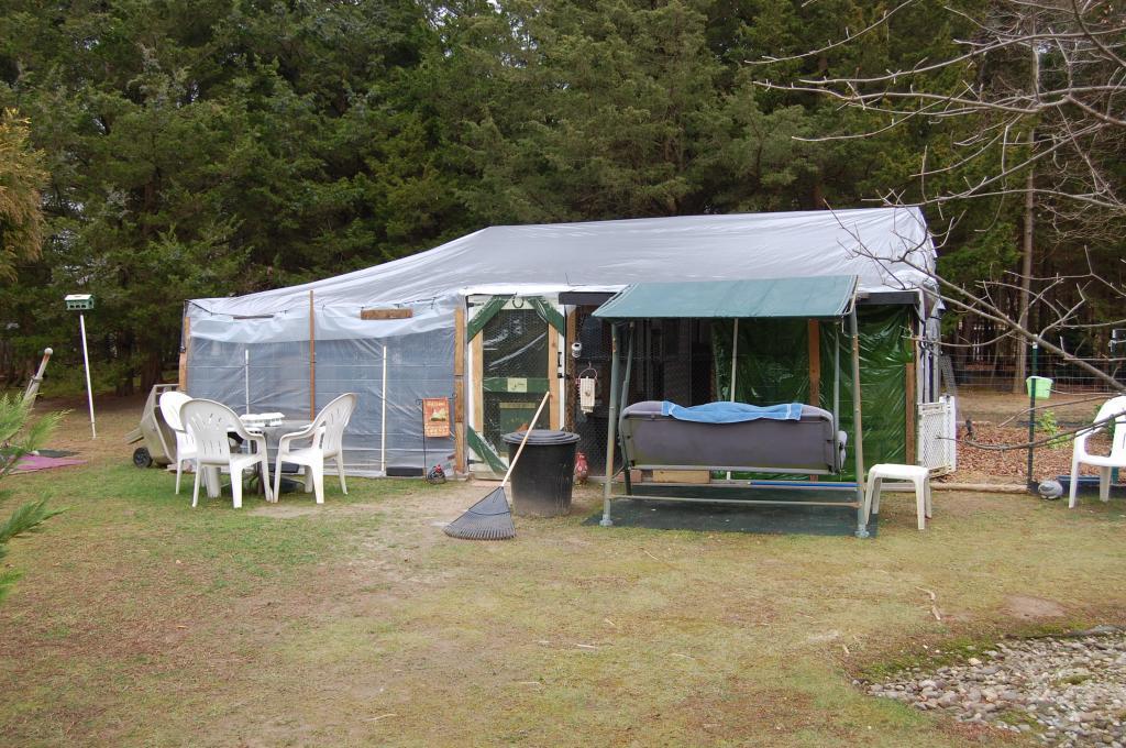 91292_homeless_chicken_shelter_w_squatters_002.jpg